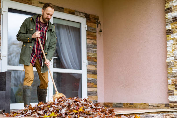 Best Electronics Removal Services  in Rossvle, IL